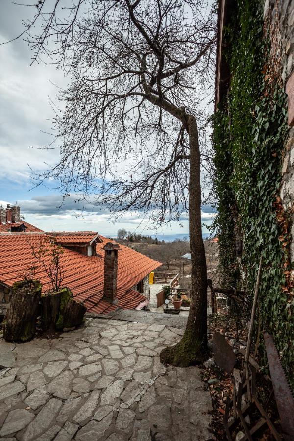Arxontiko Agonari Metamorfosi (Pella) Exterior foto