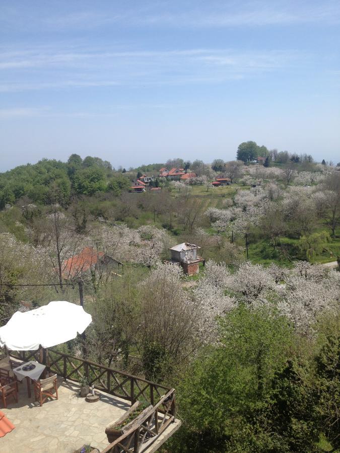 Arxontiko Agonari Metamorfosi (Pella) Exterior foto